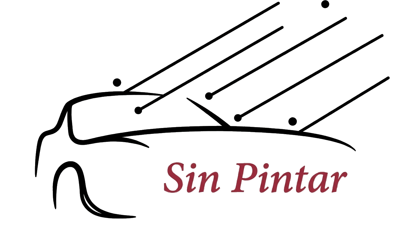 Sin Pintar · Vicente Cano